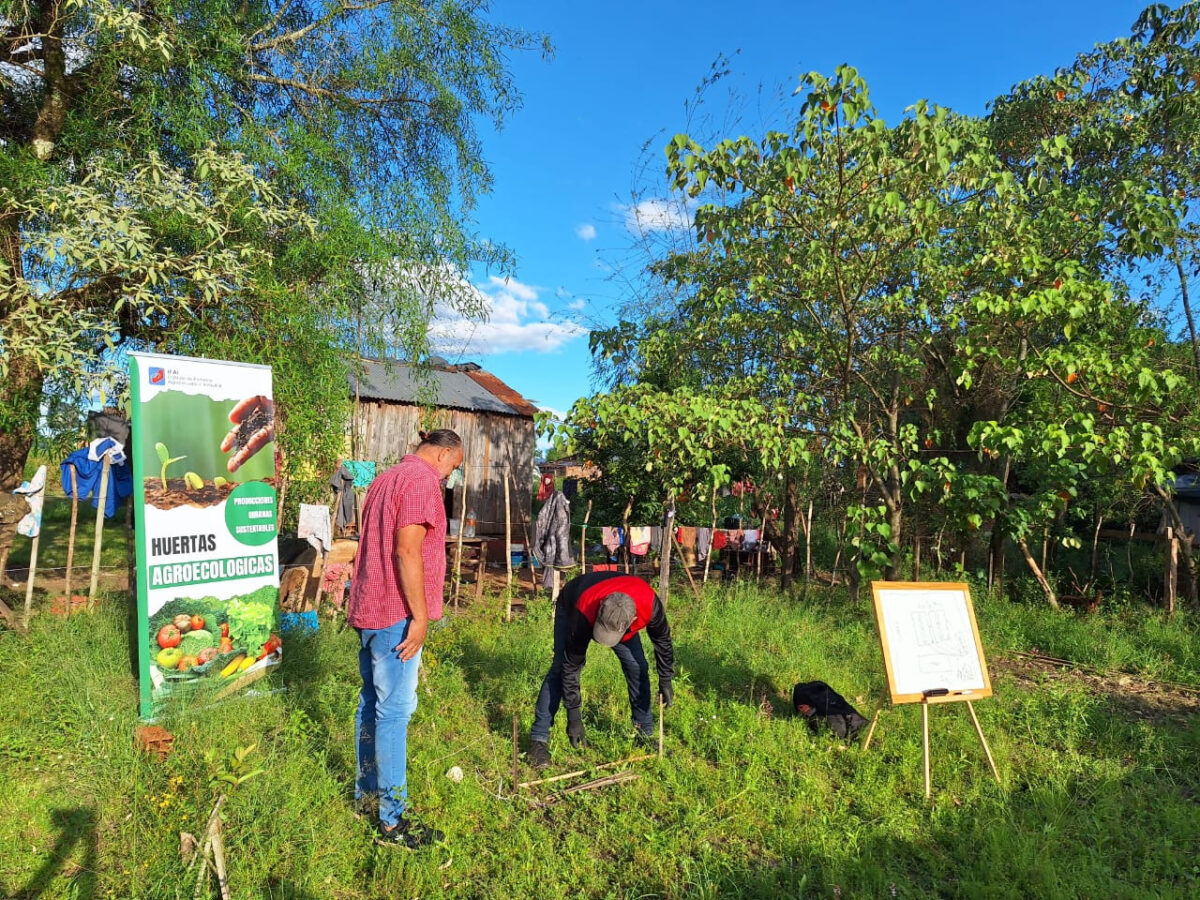 El IFAI capacitó en huertas agroecológicas a vecinos de Candelaria