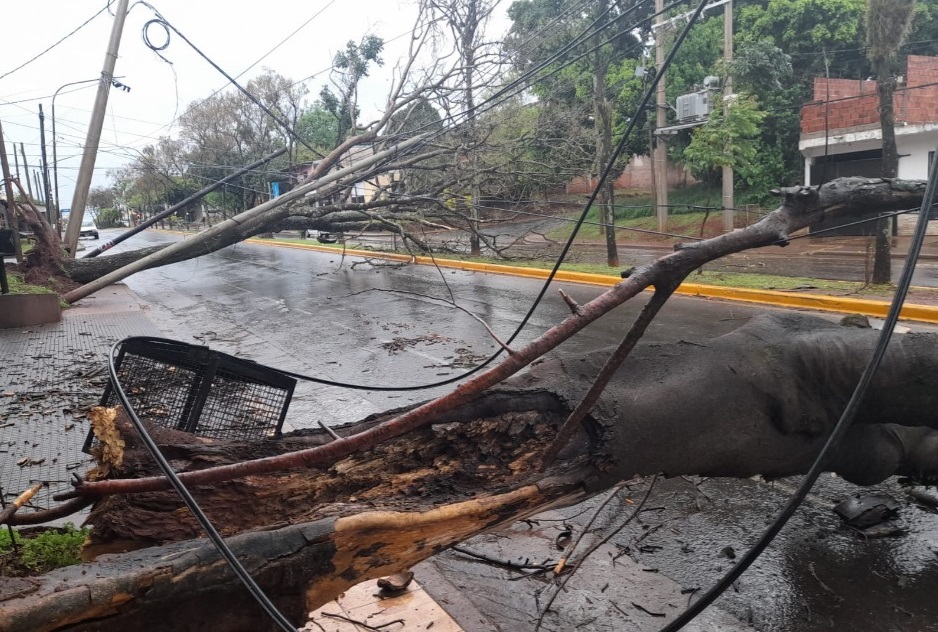 Sigue el despliegue para restablecer la seguridad vial y asistencia en Posadas luego del temporal