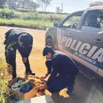 Se duplicaron los requerimientos al 911 para el rescate de mascotas y animales en extinción 2 4 - IMG 20230910 WA0012 - 3