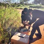 Se duplicaron los requerimientos al 911 para el rescate de mascotas y animales en extinción 3 6 - IMG 20230910 WA0013 - 5