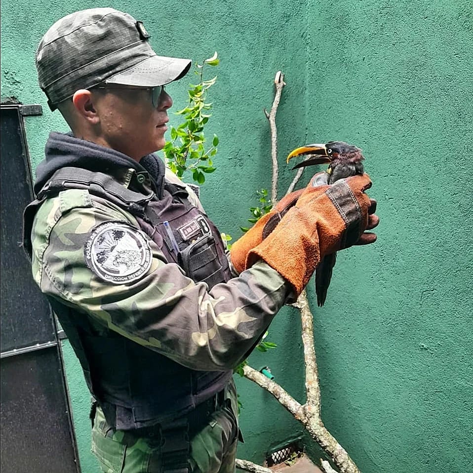 Se duplicaron los requerimientos al 911 para el rescate de mascotas y animales en extinción 1 2 - IMG 20230910 WA0015 - 1