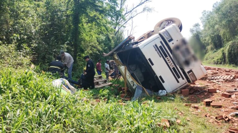 Camión que transportaba ladrillos volcó en Capioví y su conductor resultó lesionado