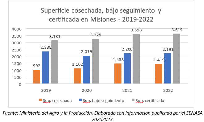 Yerba mate y té orgánico, una economía en crecimiento con base en el cuidado del medio ambiente