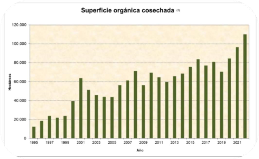 Yerba mate y té orgánico, una economía en crecimiento con base en el cuidado del medio ambiente