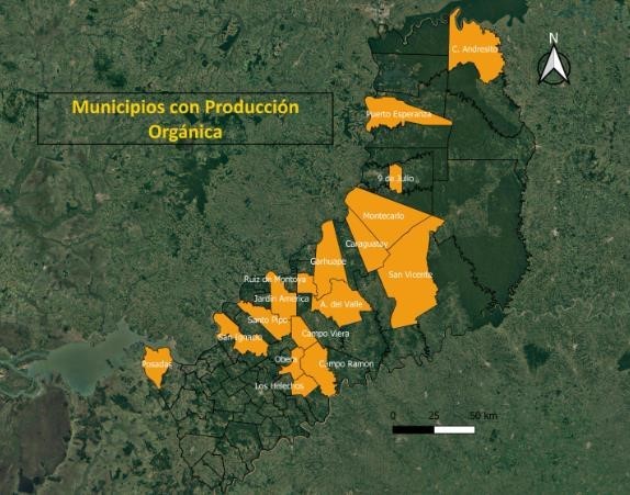 Yerba mate y té orgánico, una economía en crecimiento con base en el cuidado del medio ambiente