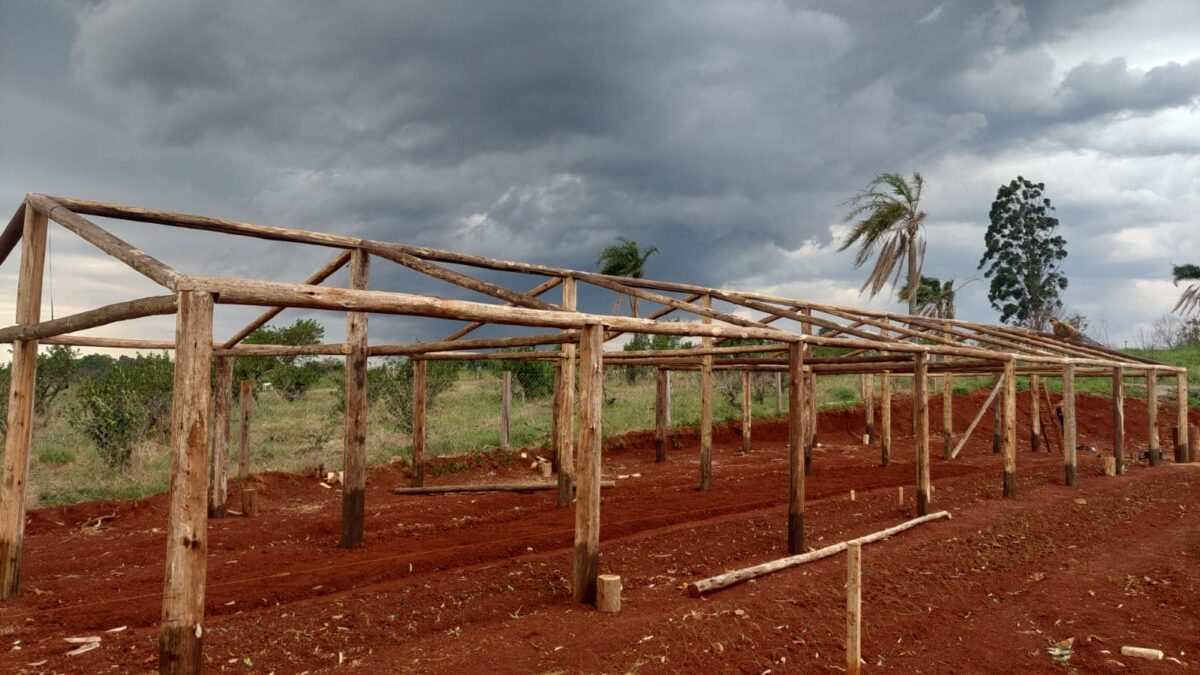 Construyen un invernadero para productores agrícolas en San Vicente