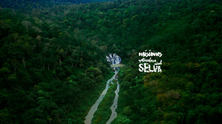 Misiones lanza una nueva campaña para promover el turismo en la selva