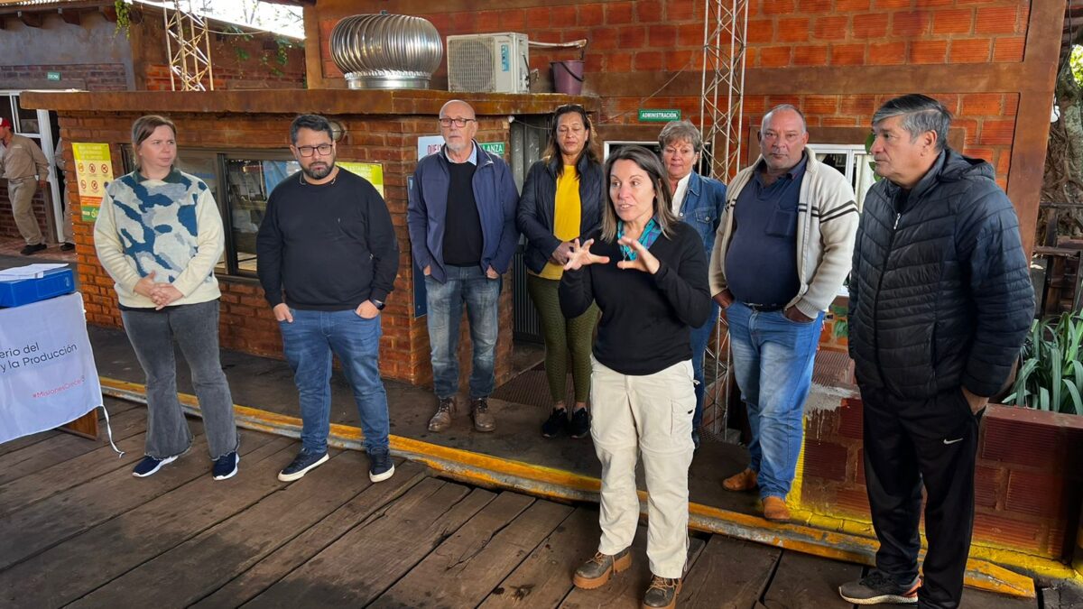 Misiones ejecuta el Programa de Fertilización para el sector tealero 1 Misiones ejecuta el Programa de Fertilización para el sector tealero