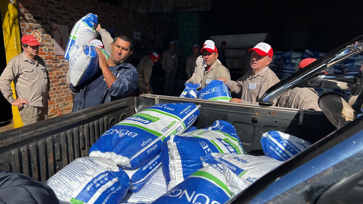Misiones ejecuta el Programa de Fertilización para el sector tealero
