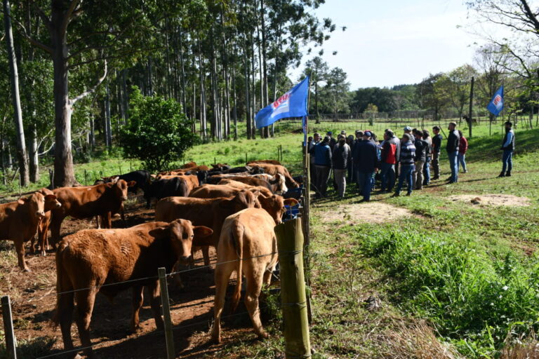 Capacitarán a productores sobre la detección y control de enfermedades bovinas