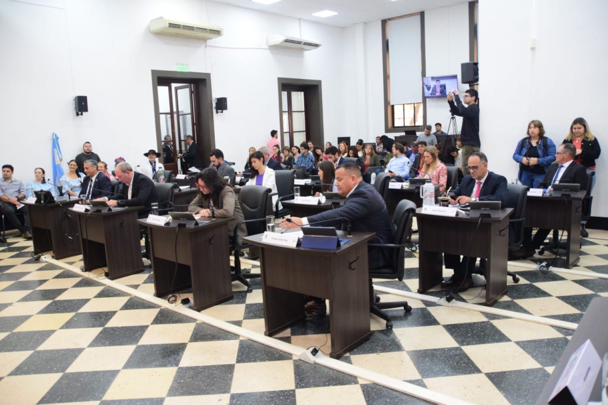 concejo deliberante 2 - 3