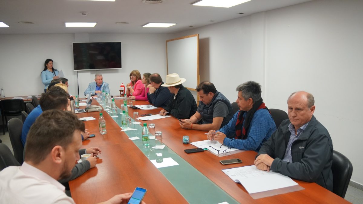 diputados 5 - 7