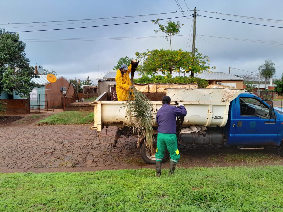 Refuerzan las tareas de desobstrucción de drenajes y remoción de árboles caídos en Posadas