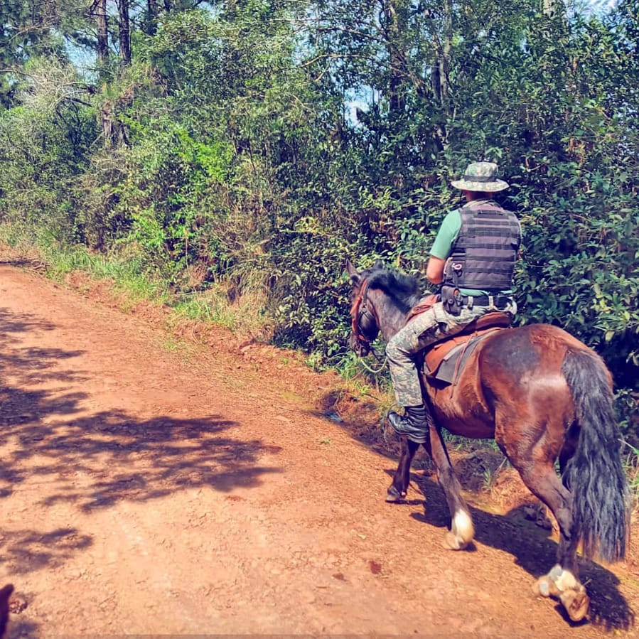 operativos en municipios 2 - 3