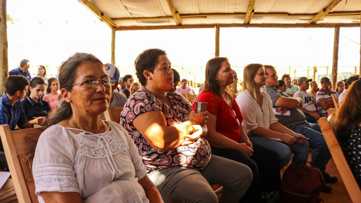 Se consolida el polo hortícola de la zona norte de Misiones