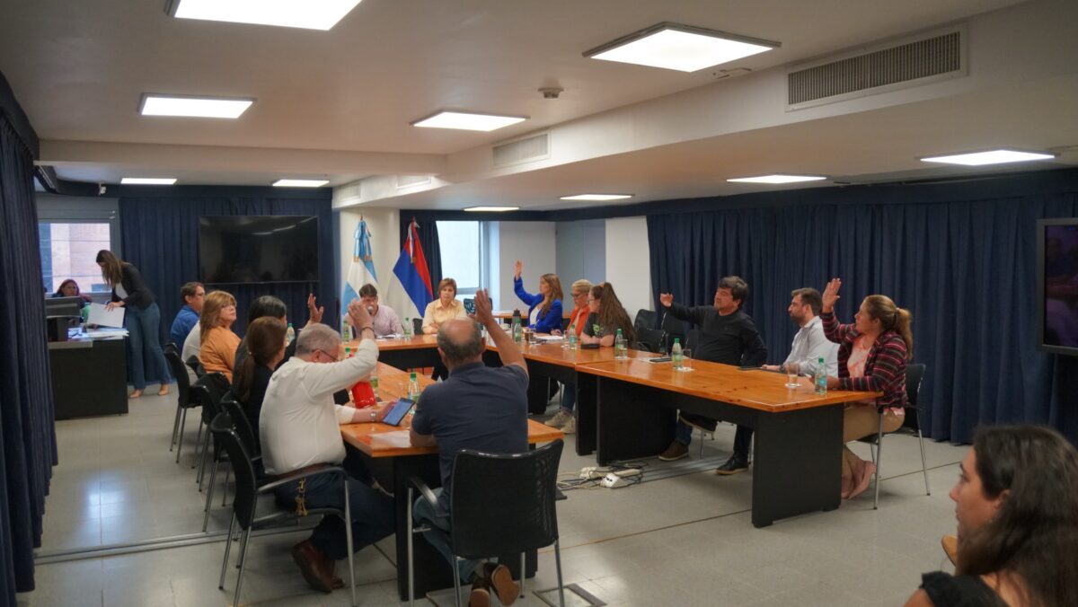 El Presupuesto 2024 para la Administración Pública provincial obtuvo dictamen
