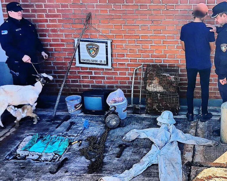 Una pareja involucrada en robo de animales fue detenida en Capioví
