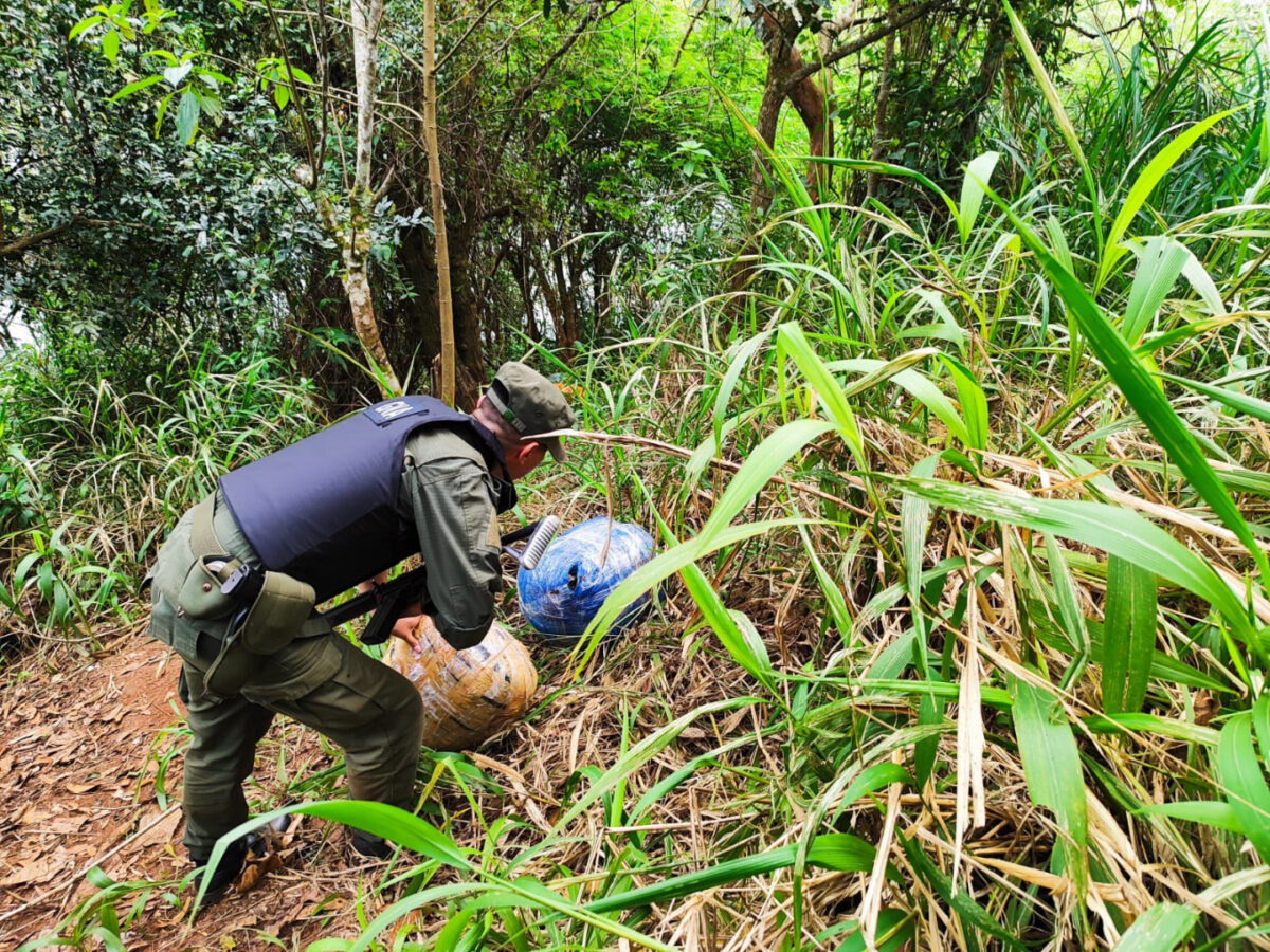 secuestran_mas_de_629_kilos_de_marihuana_en_dos_procedimientos_6