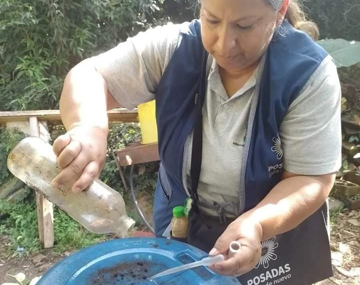 Recomendaciones para evitar criaderos de mosquito tras la lluvia en Posadas