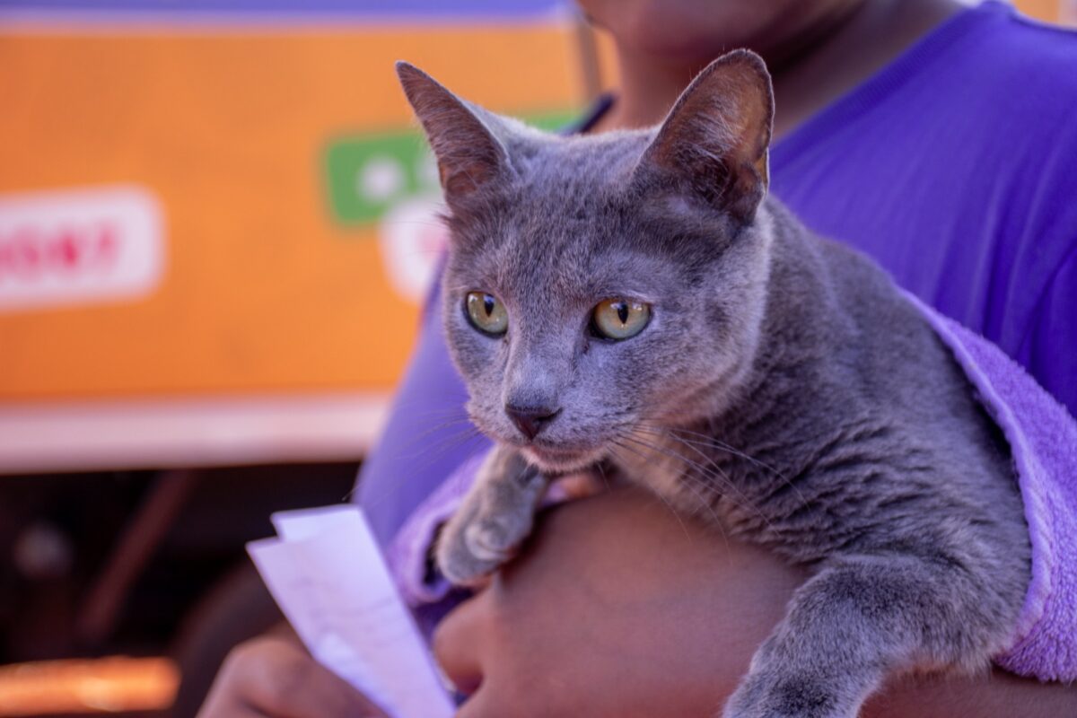 El IMuSA descentraliza servicios veterinarios y los traslada a los barrios posadeños