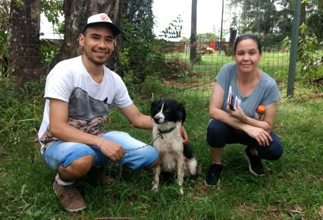 El móvil del IMuSA realizó castraciones en El Refugio de Animales