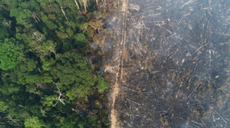 La sequía en Brasil provocó que los incendios en la Amazonía aumenten más del 50%