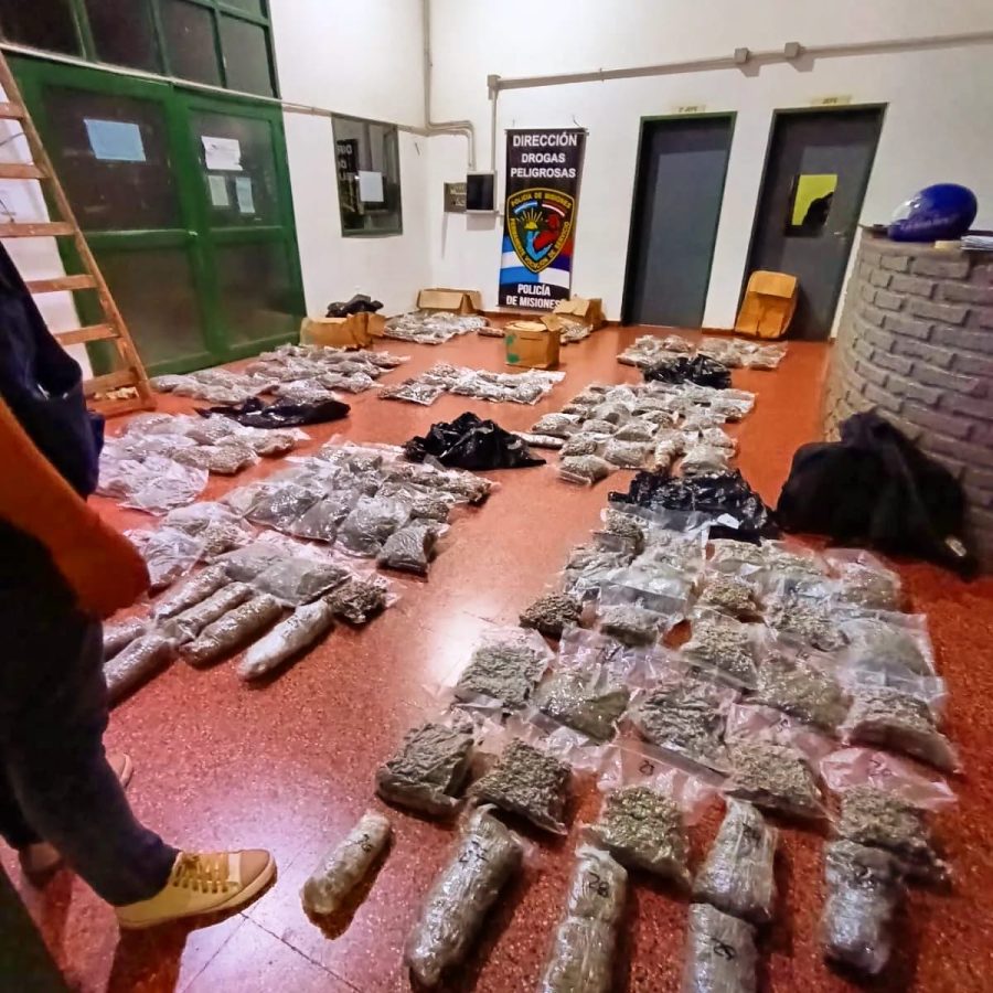 La Policia de Misiones secuestro mas de 22 toneladas de marihuana en lo que va del ano 1 - 17