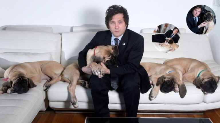 Javier Milei acusó a Juntos por el Cambio de querer sacarle la tenencia de sus perros