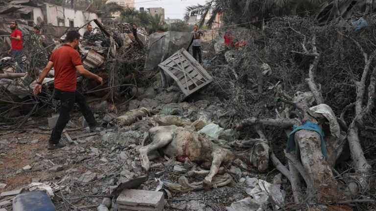 Unas 140 personas murieron en la Franja de Gaza por nuevos bombardeos israelíes