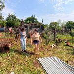 asistencia Desarrollo social 2 - 15