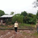 asistencia temporal 4 - 32