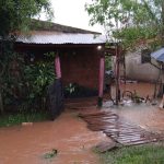 asistencia temporal 6 - 28