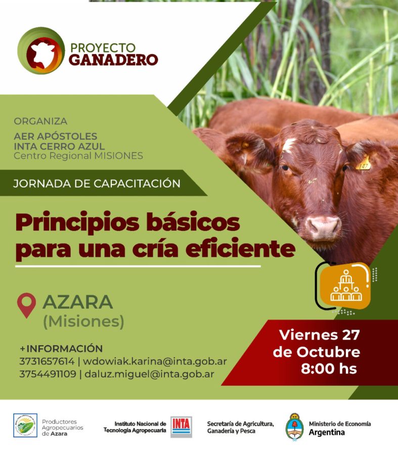 Capacitación y manejo adecuado: claves para impulsar la ganadería bovina de la zona sur provincial 1 2 - capacitacion 2 - 1