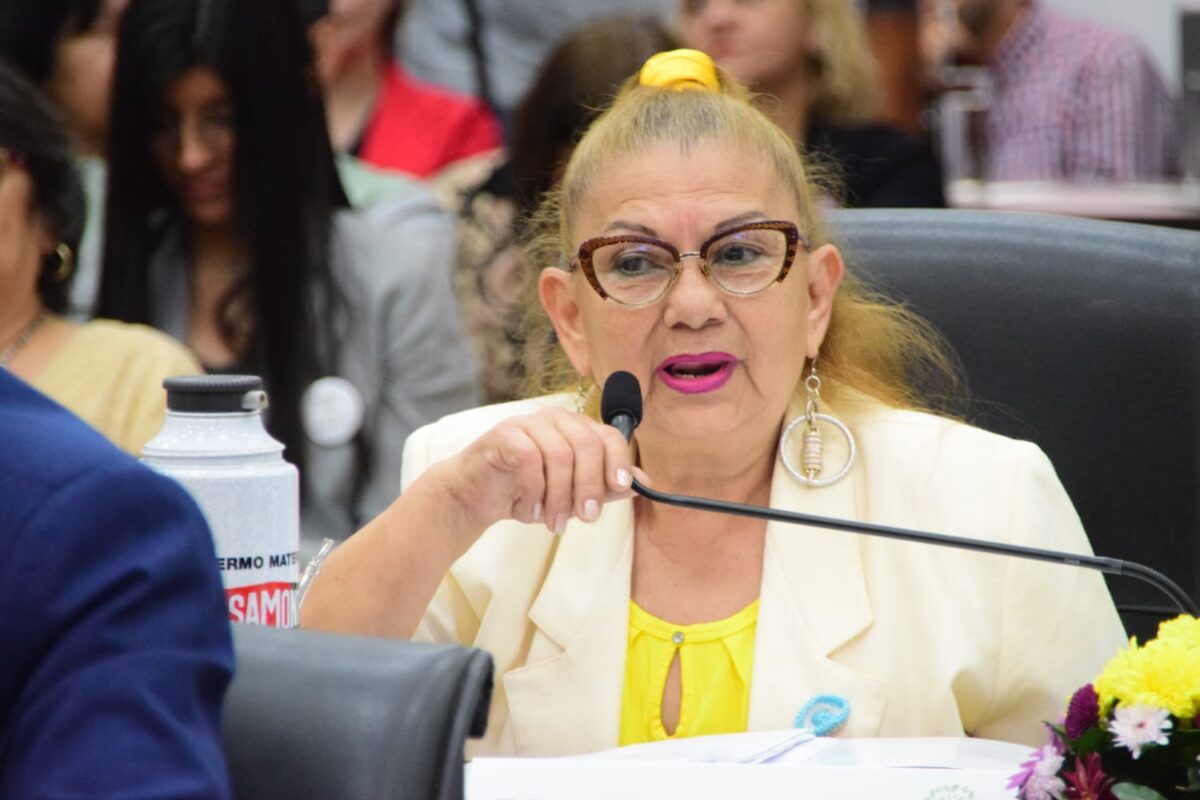 concejo adulto mayor 8 - 13