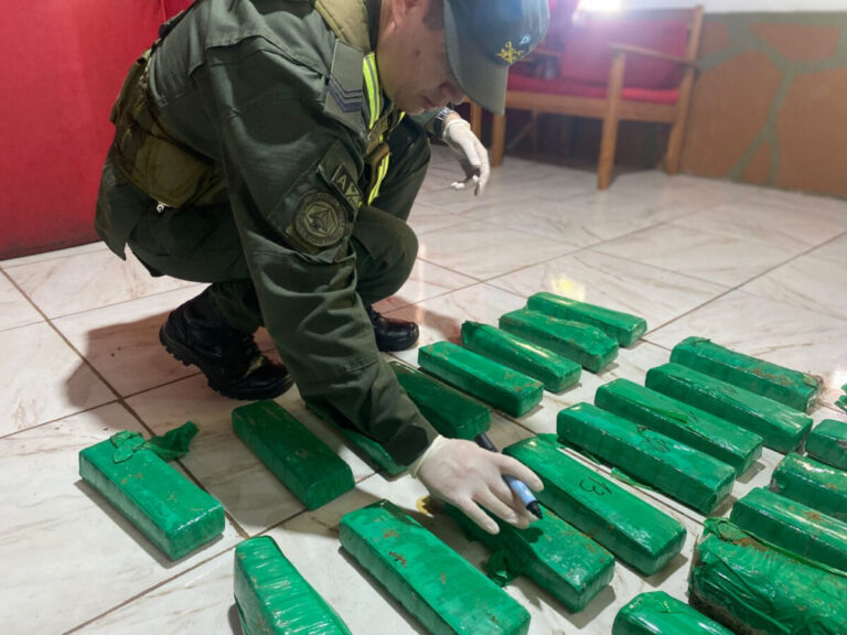 Gendarmería halló más de 24 kilos de marihuana a orillas del río Paraná