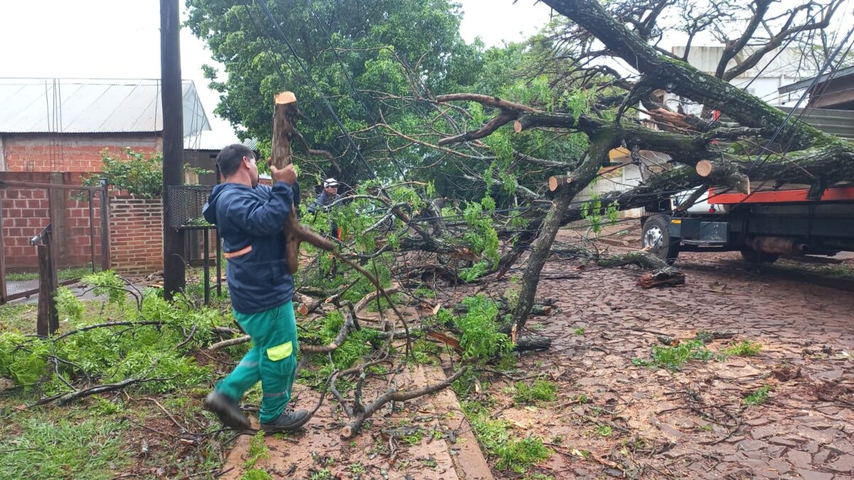 Posadas se mantiene en alerta por las tormentas e implementan medidas preventivas