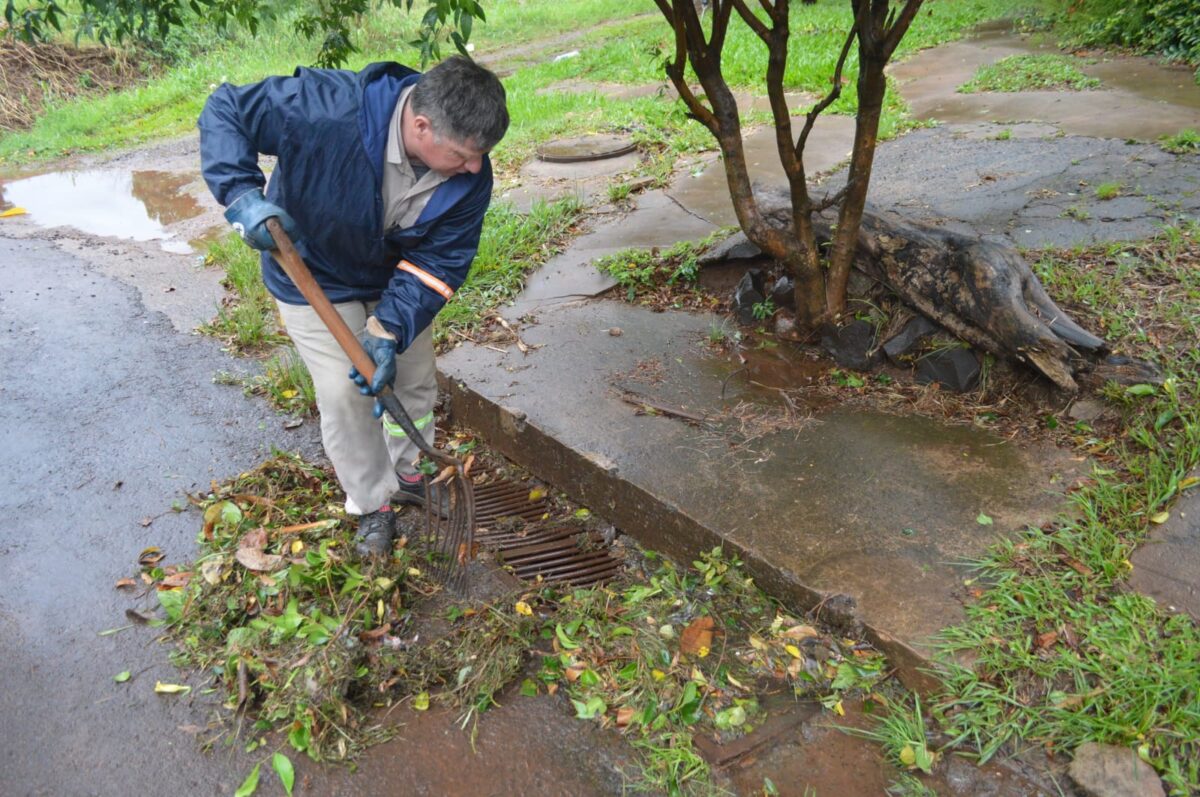 Intensifican trabajos de remoción de árboles caídos tras las lluvias en Posadas