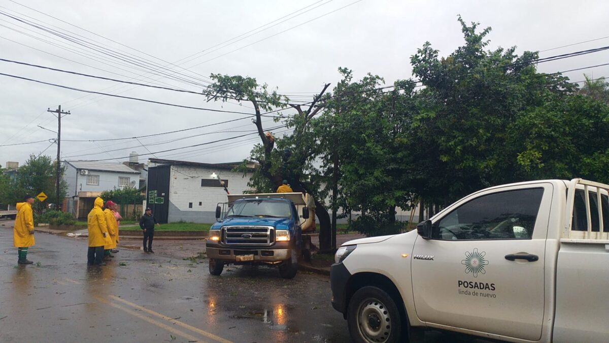 Temporal en Posadas: el municipio trabaja en la atención frente a los daños producidos