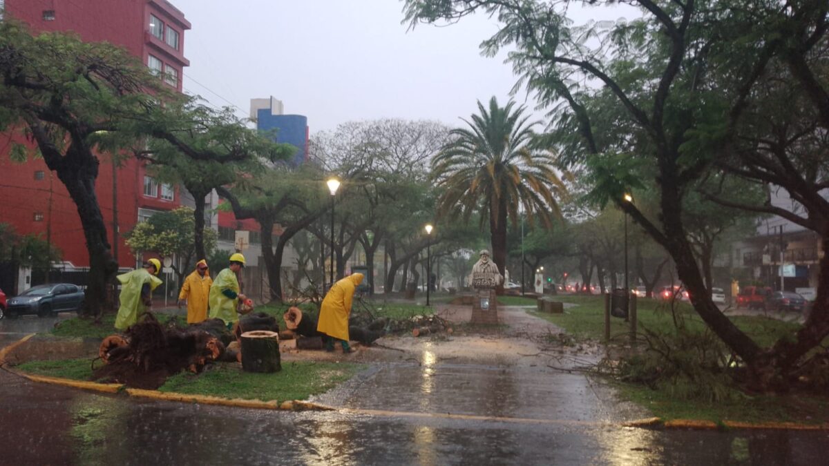 trabajos por lluvias (3)