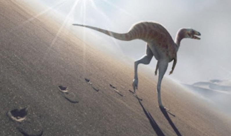 DINOSAURIO