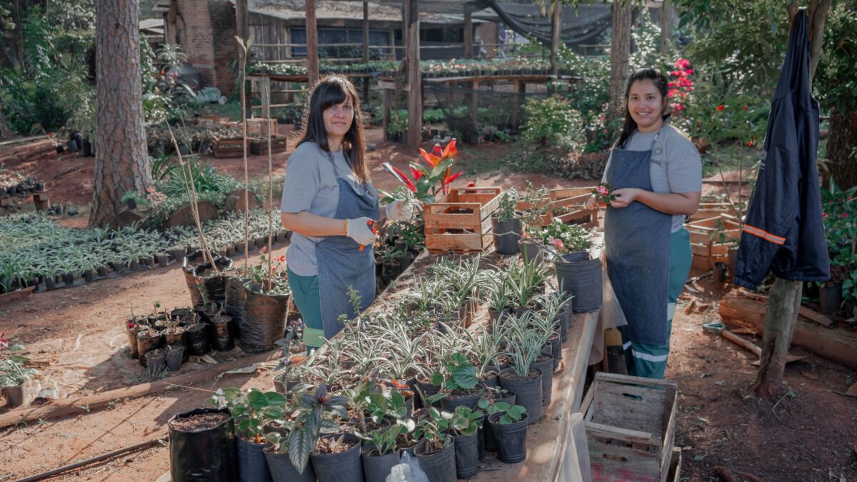 Fomentan la forestación y el cuidado del ambiente desde el Vivero Municipal de Posadas