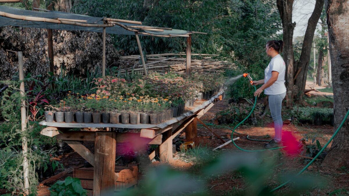 Fomentan la forestación y el cuidado del ambiente desde el Vivero Municipal de Posadas