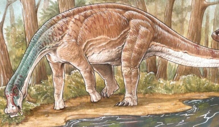 Científicos del Conicet encontraron una nueva especie de dinosaurio en Neuquén