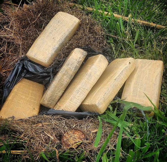 Policias antinarcoticos incautaron marihuana oculta preparada para ser trasladada en Garupa 1 - 5