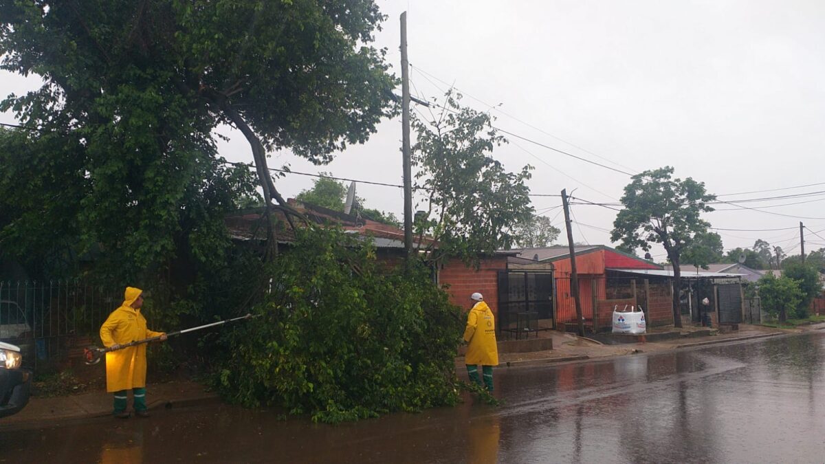 Brindan asistencia a damnificados por las lluvias en Posadas