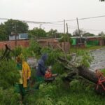 Mirá Las ImáGenes De Los Destrozos Que Provocó La Granizada Y Las Fuertes Lluvias En Posadas