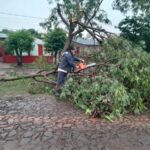 Mirá Las ImáGenes De Los Destrozos Que Provocó La Granizada Y Las Fuertes Lluvias En Posadas