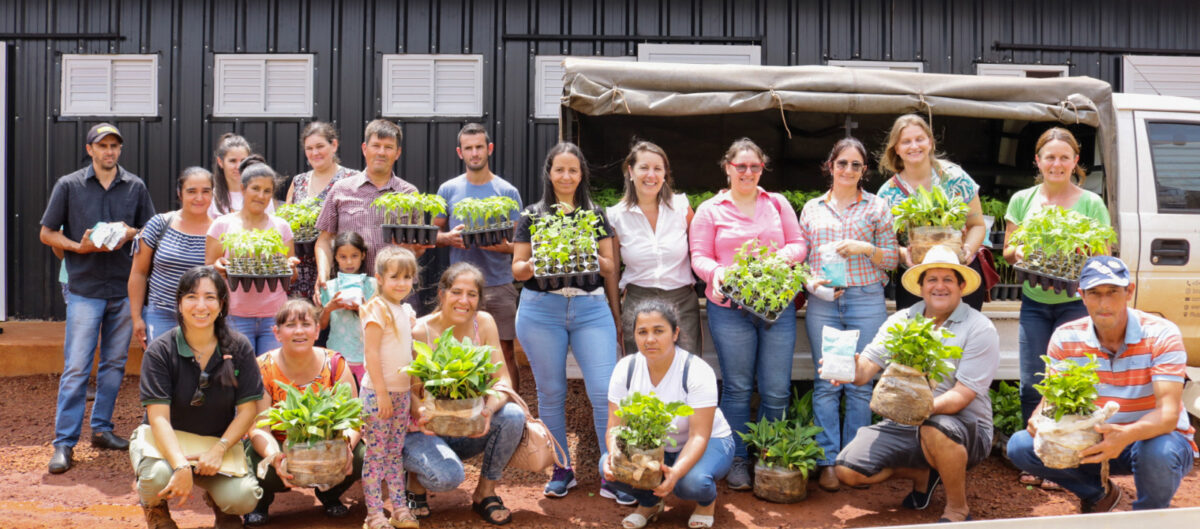 Destacan la diversificación productiva de la actividad frutihortícola en Misiones