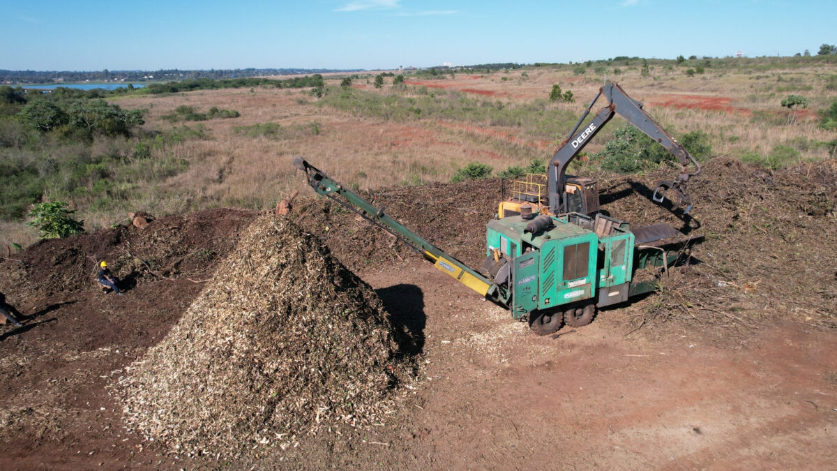 Mediante el proceso de chipeado, se recuperaron más de 40 mil metros cuadrados de suelo en Posadas
