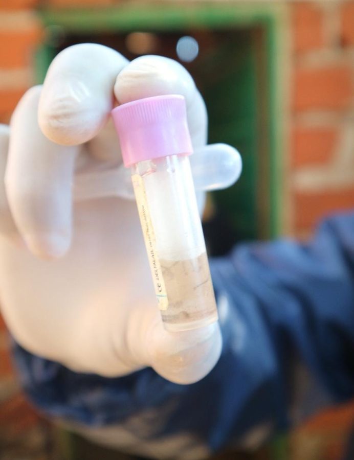 medidas preventivas contra el Aedes aegypti tras las lluvias en Posadas 1 - 3